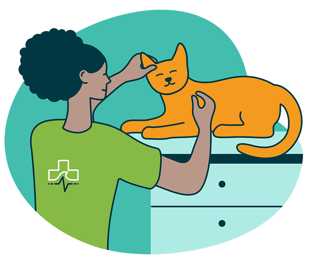 Coastal Care Veterinary