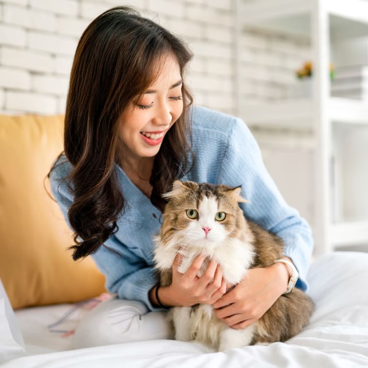 Critical Care for Cats & Dogs, Halifax Veterinarian