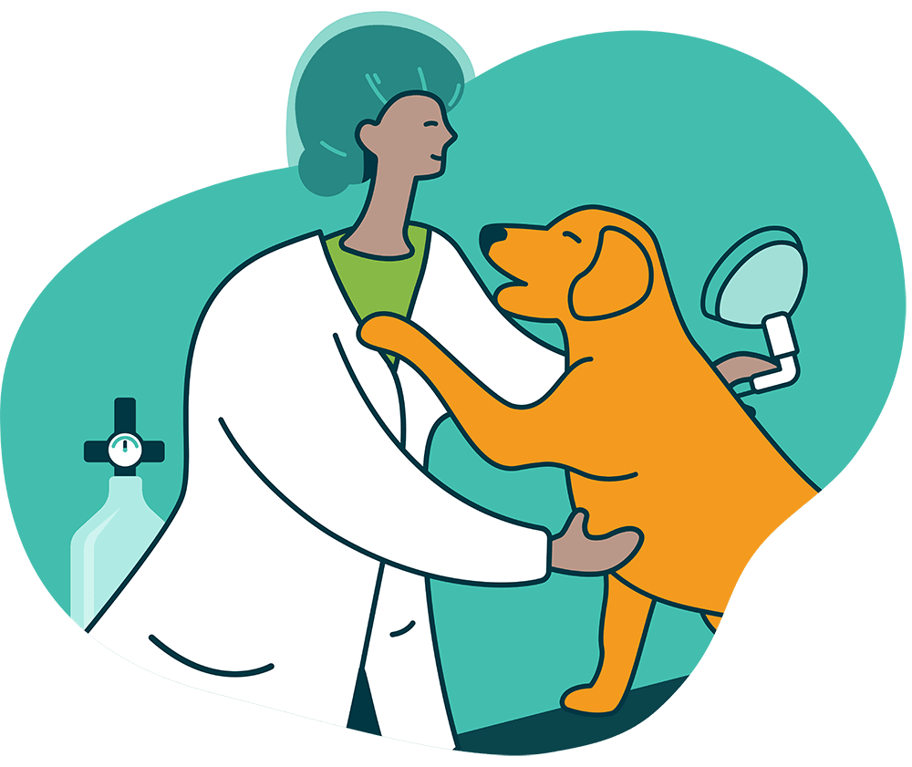 Graphic of Vet Anesthesiologist with Dog