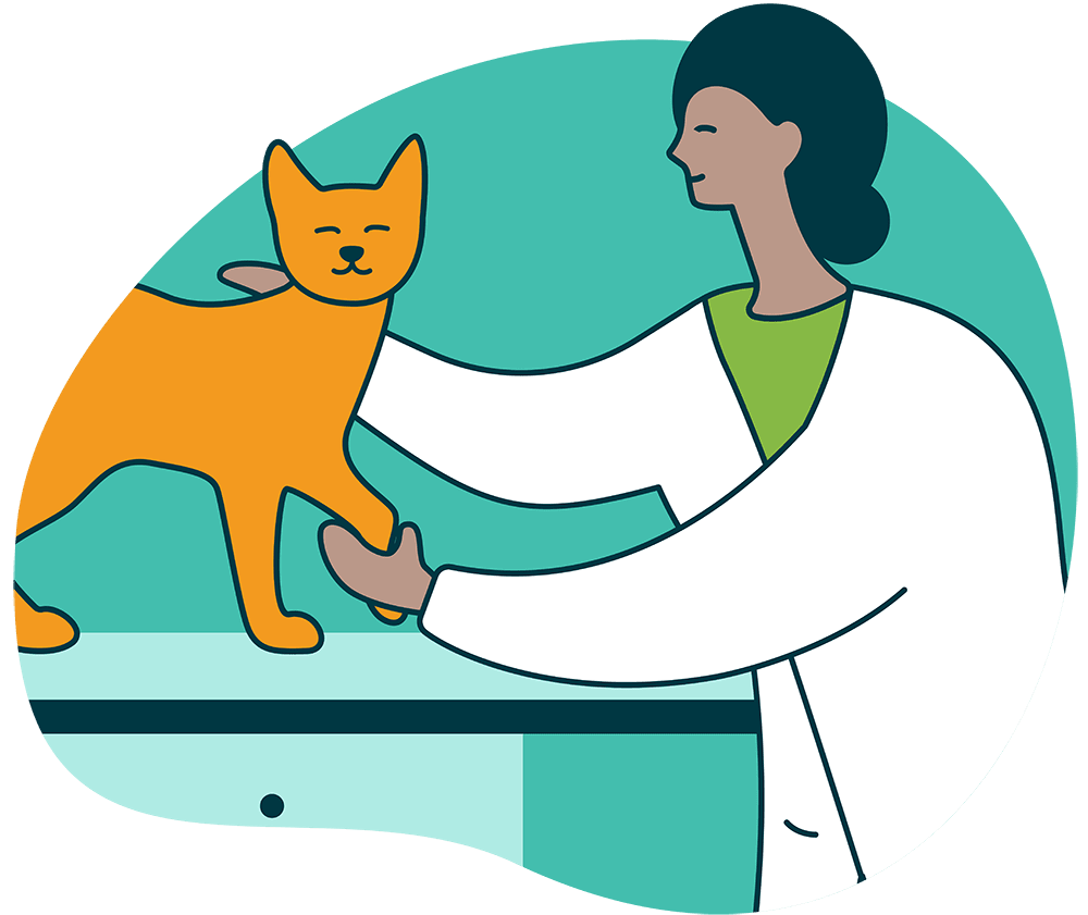 Coastal Care Veterinary