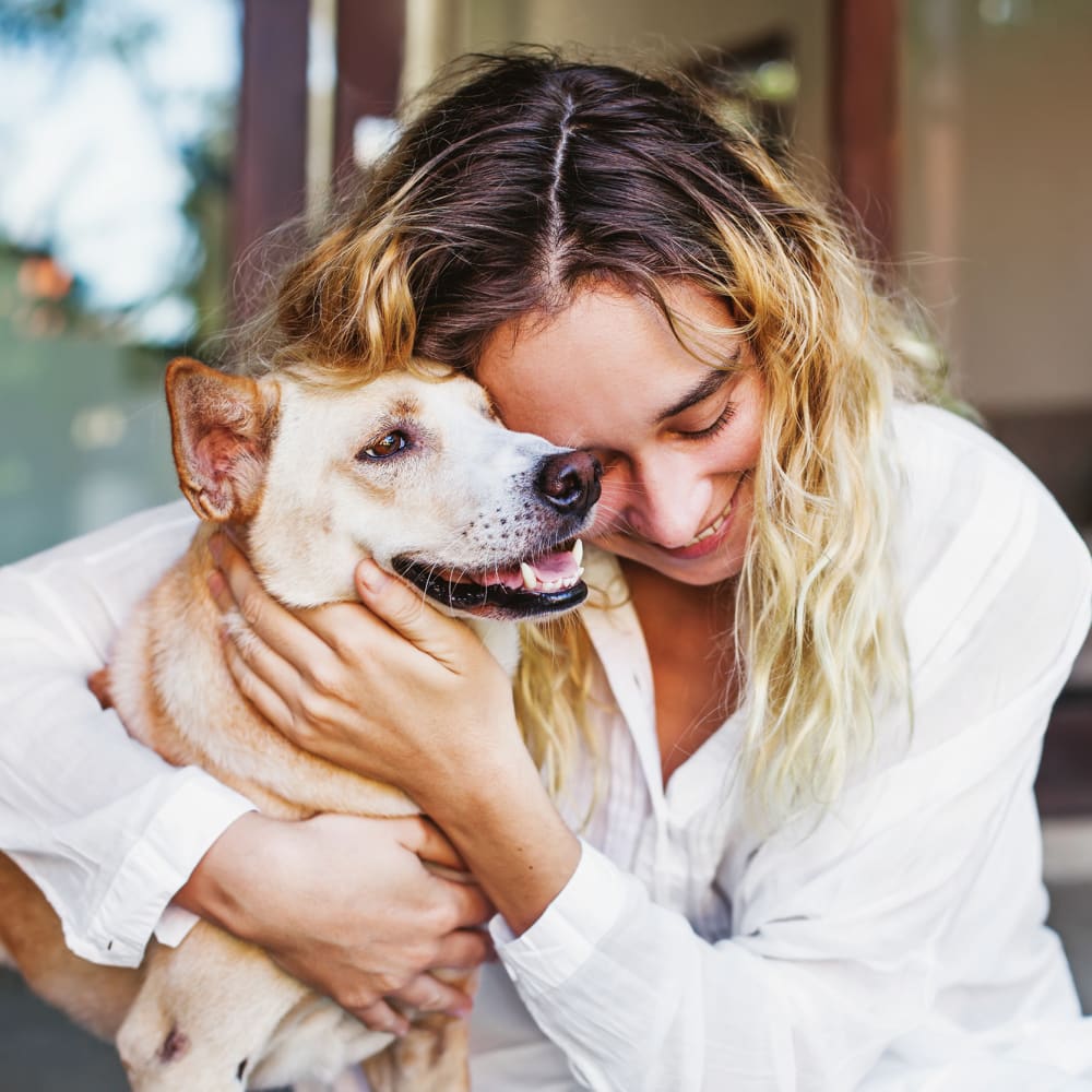 Neurology Services, Halifax Veterinarian